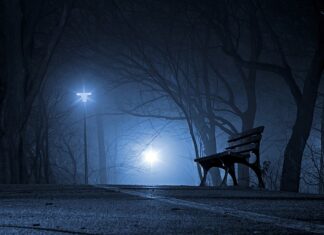 Jakie są polskie rośliny?